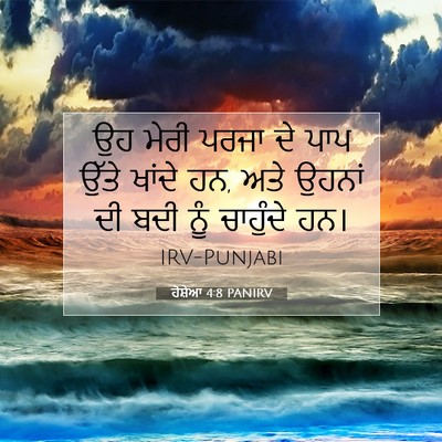 Picture 07 - ਹੋਸ਼ੇਆ 4:8 PANIRV - ਉਹ ਮੇਰੀ ਪਰਜਾ ਦੇ ਪਾਪ - Bible Verse Picture