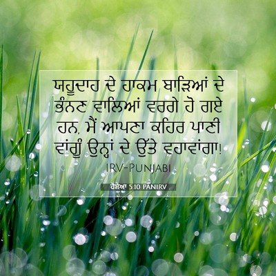Picture 07 - ਹੋਸ਼ੇਆ 5:10 PANIRV - ਯਹੂਦਾਹ ਦੇ ਹਾਕਮ - Bible Verse Picture