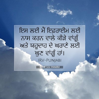 Picture 07 - ਹੋਸ਼ੇਆ 5:12 PANIRV - ਇਸ ਲਈ ਮੈਂ ਇਫ਼ਰਾਈਮ - Bible Verse Picture