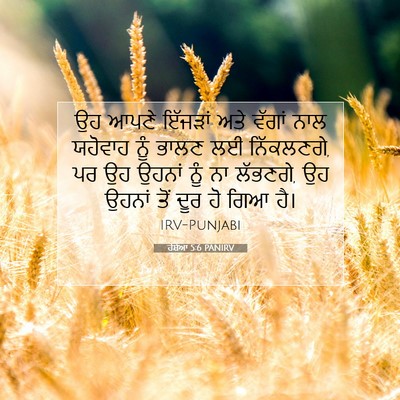 Picture 07 - ਹੋਸ਼ੇਆ 5:6 PANIRV - ਉਹ ਆਪਣੇ ਇੱਜੜਾਂ ਅਤੇ - Bible Verse Picture