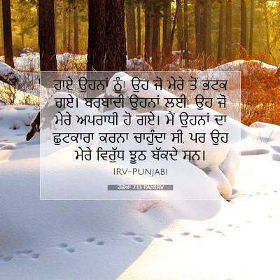 Picture 07 - ਹੋਸ਼ੇਆ 7:13 PANIRV - ਹਾਏ ਉਹਨਾਂ ਨੂੰ! ਉਹ - Bible Verse Picture