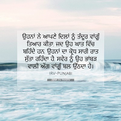 Picture 07 - ਹੋਸ਼ੇਆ 7:6 PANIRV - ਉਹਨਾਂ ਨੇ ਆਪਣੇ - Bible Verse Picture