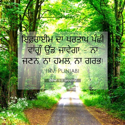 Picture 07 - ਹੋਸ਼ੇਆ 9:11 PANIRV - ਇਫ਼ਰਾਈਮ ਦਾ ਪਰਤਾਪ - Bible Verse Picture