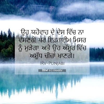 Picture 07 - ਹੋਸ਼ੇਆ 9:3 PANIRV - ਉਹ ਯਹੋਵਾਹ ਦੇ ਦੇਸ - Bible Verse Picture