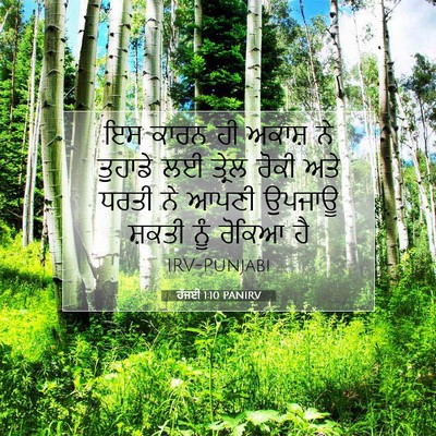 Picture 07 - ਹੱਜਈ 1:10 PANIRV - ਇਸ ਕਾਰਨ ਹੀ ਅਕਾਸ਼ ਨੇ - Bible Verse Picture
