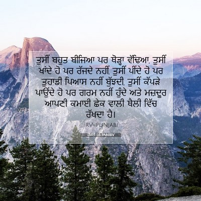 Picture 07 - ਹੱਜਈ 1:6 PANIRV - ਤੁਸੀਂ ਬਹੁਤ ਬੀਜਿਆ - Bible Verse Picture