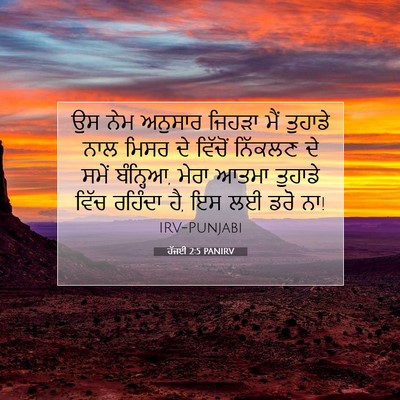 Picture 07 - ਹੱਜਈ 2:5 PANIRV - ਉਸ ਨੇਮ ਅਨੁਸਾਰ - Bible Verse Picture
