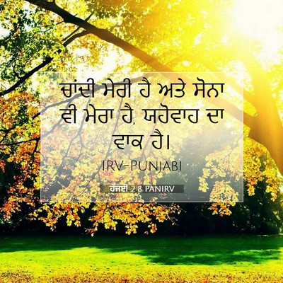 Picture 07 - ਹੱਜਈ 2:8 PANIRV - ਚਾਂਦੀ ਮੇਰੀ ਹੈ ਅਤੇ - Bible Verse Picture