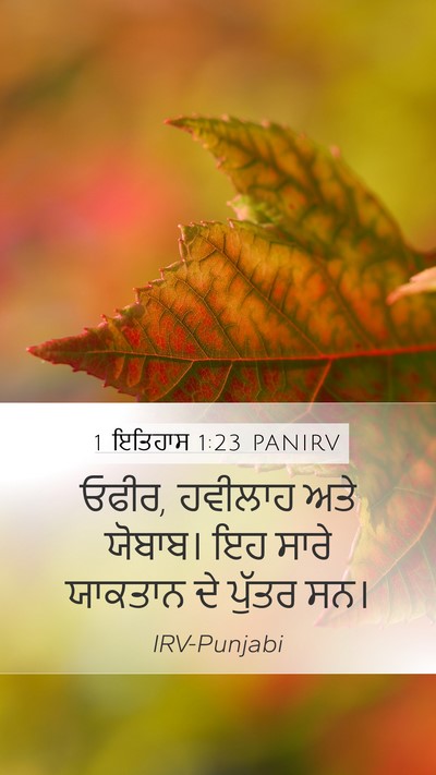 1 ਇਤਿਹਾਸ 1:23 PANIRV Mobile Phone Wallpaper - ਓਫੀਰ, ਹਵੀਲਾਹ ਅਤੇ - Mobile Bible Verse Wallpaper