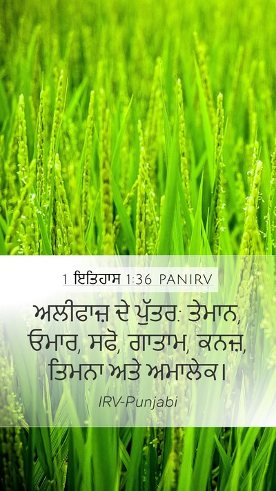 1 ਇਤਿਹਾਸ 1:36 PANIRV Bible Verse Image