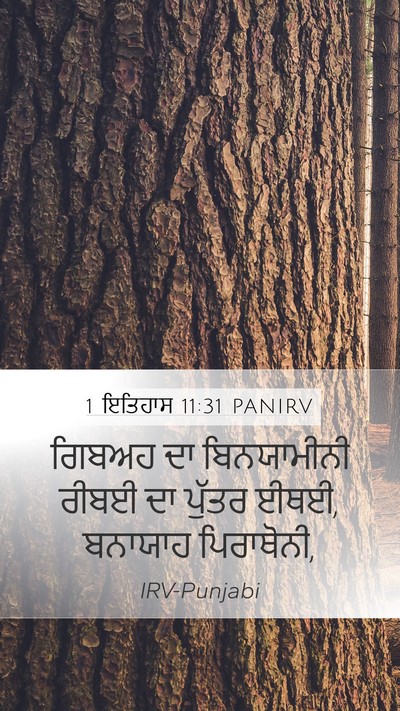 1 ਇਤਿਹਾਸ 11:31 PANIRV Bible Verse Image