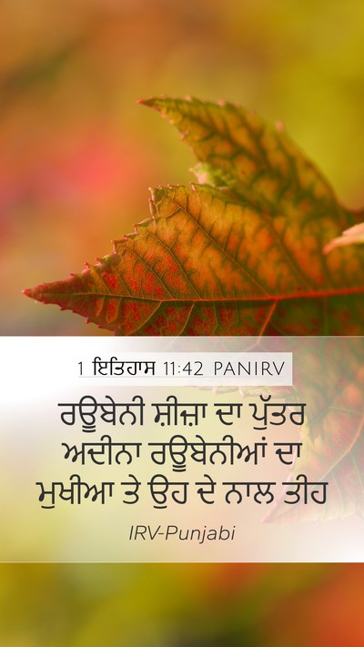 1 ਇਤਿਹਾਸ 11:42 PANIRV Mobile Phone Wallpaper - ਰਊਬੇਨੀ ਸ਼ੀਜ਼ਾ ਦਾ - Mobile Bible Verse Wallpaper