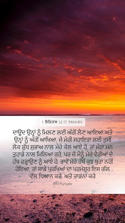 1 ਇਤਿਹਾਸ 12:17 PANIRV Bible Verse Image