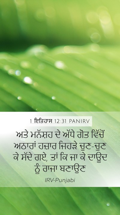 1 ਇਤਿਹਾਸ 12:31 PANIRV Bible Verse Image