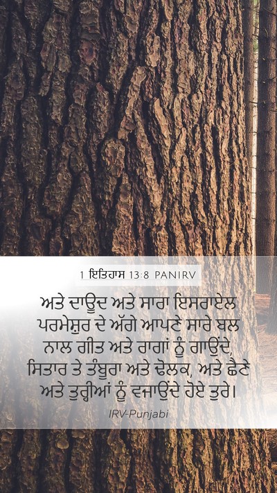 1 ਇਤਿਹਾਸ 13:8 PANIRV Bible Verse Image