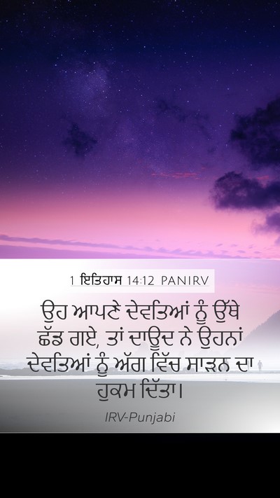 1 ਇਤਿਹਾਸ 14:12 PANIRV Bible Verse Image