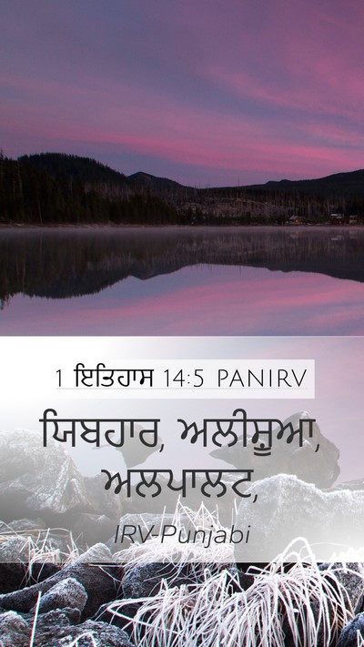 1 ਇਤਿਹਾਸ 14:5 PANIRV Bible Verse Image