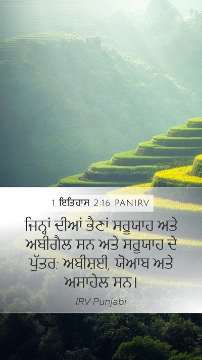 1 ਇਤਿਹਾਸ 2:16 PANIRV Bible Verse Image
