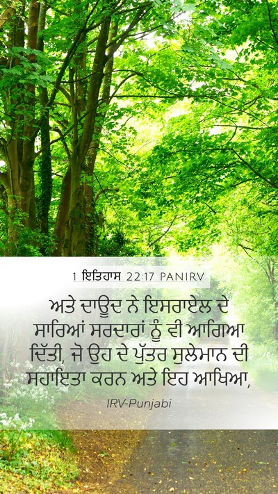1 ਇਤਿਹਾਸ 22:17 PANIRV Bible Verse Image