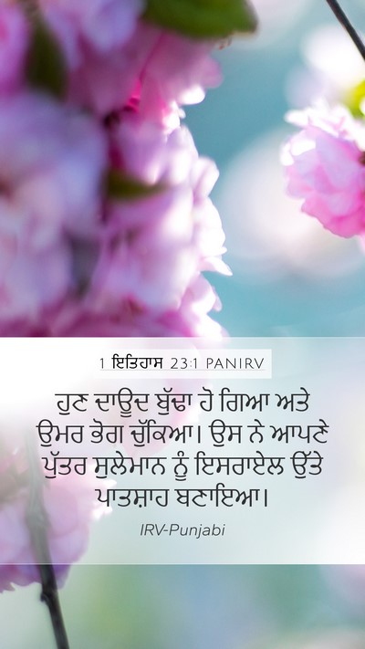 1 ਇਤਿਹਾਸ 23:1 PANIRV Bible Verse Image