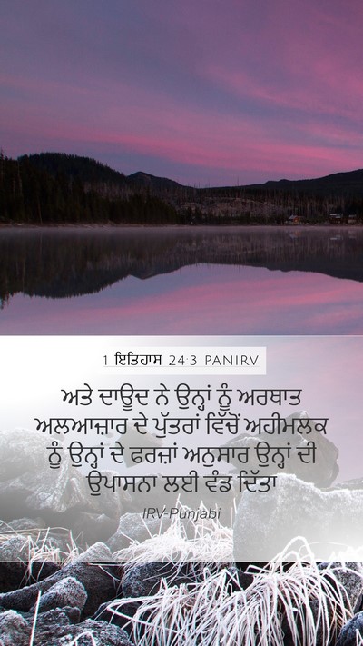 1 ਇਤਿਹਾਸ 24:3 PANIRV Bible Verse Image