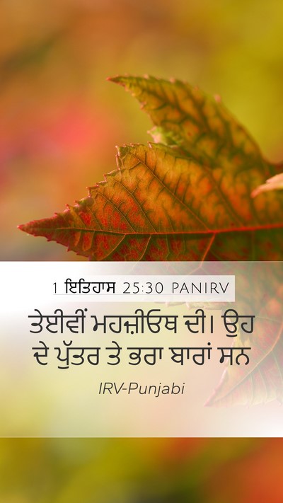 1 ਇਤਿਹਾਸ 25:30 PANIRV Mobile Phone Wallpaper - ਤੇਈਵੀਂ ਮਹਜ਼ੀਓਥ - Mobile Bible Verse Wallpaper
