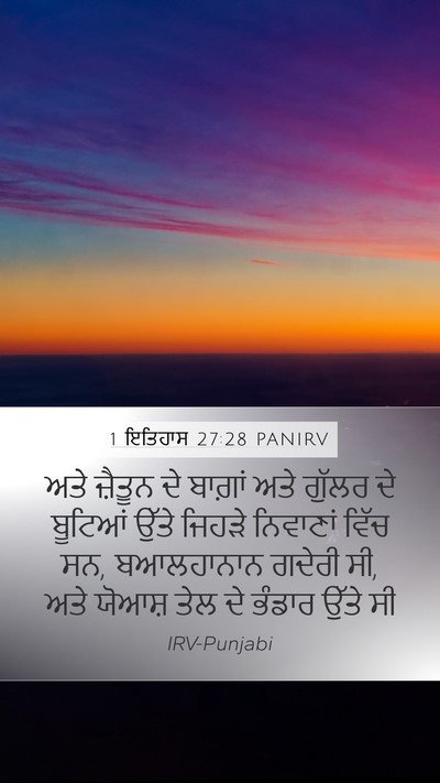 1 ਇਤਿਹਾਸ 27:28 PANIRV Bible Verse Image
