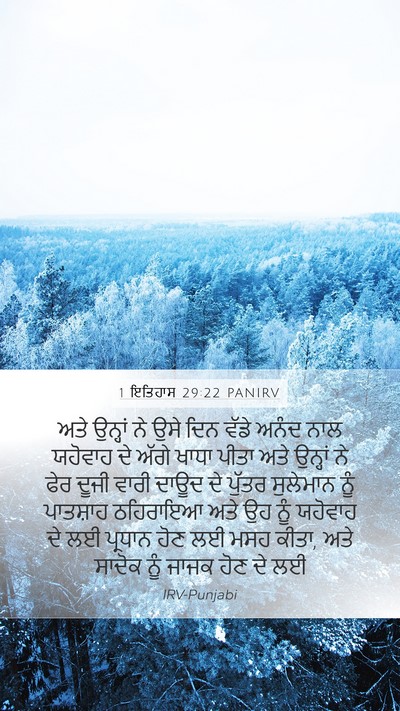 1 ਇਤਿਹਾਸ 29:22 PANIRV Bible Verse Image