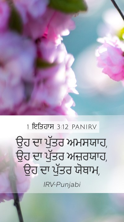 1 ਇਤਿਹਾਸ 3:12 PANIRV Bible Verse Image