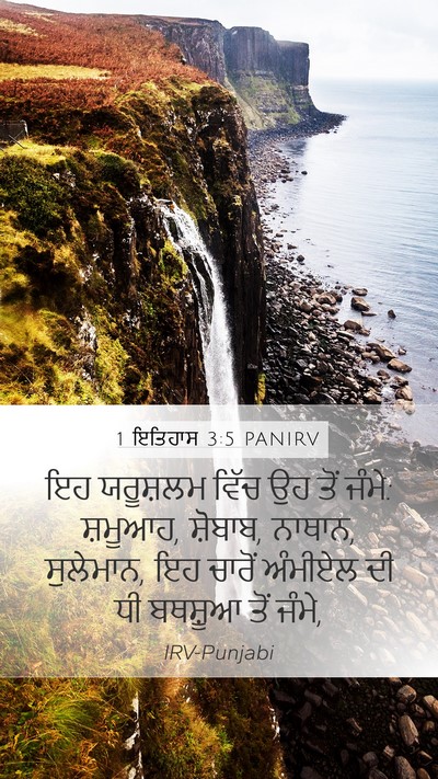 1 ਇਤਿਹਾਸ 3:5 PANIRV Bible Verse Image