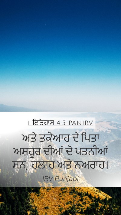 1 ਇਤਿਹਾਸ 4:5 PANIRV Mobile Phone Wallpaper - ਅਤੇ ਤਕੋਆਹ ਦੇ ਪਿਤਾ - Mobile Bible Verse Wallpaper