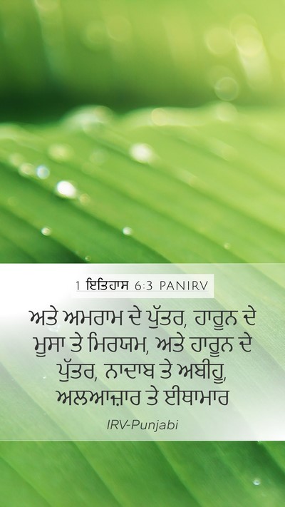 1 ਇਤਿਹਾਸ 6:3 PANIRV Bible Verse Image
