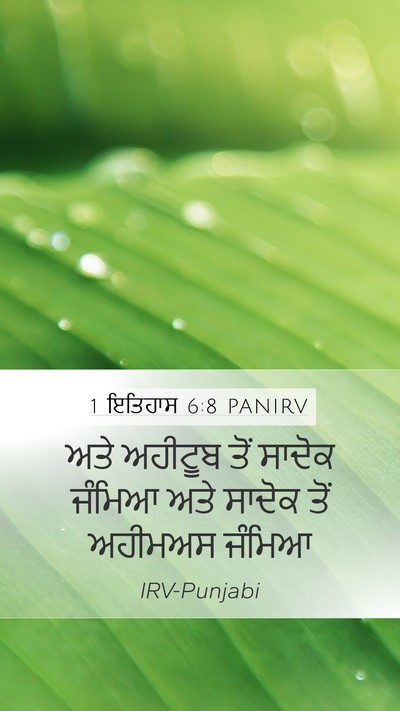 1 ਇਤਿਹਾਸ 6:8 PANIRV Bible Verse Image