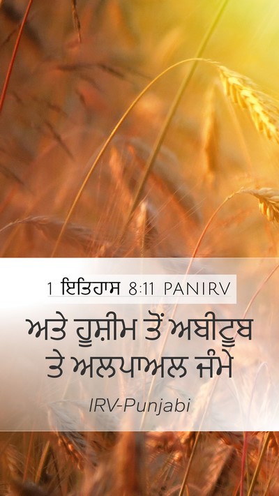 1 ਇਤਿਹਾਸ 8:11 PANIRV Mobile Phone Wallpaper - ਅਤੇ ਹੂਸ਼ੀਮ ਤੋਂ - Mobile Bible Verse Wallpaper