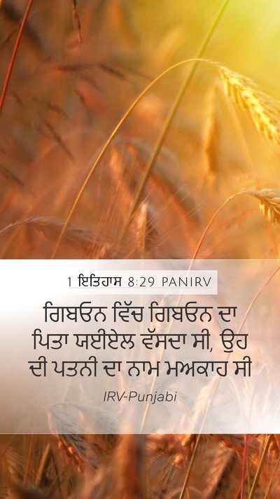 1 ਇਤਿਹਾਸ 8:29 PANIRV Bible Verse Image