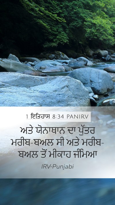 1 ਇਤਿਹਾਸ 8:34 PANIRV Bible Verse Image