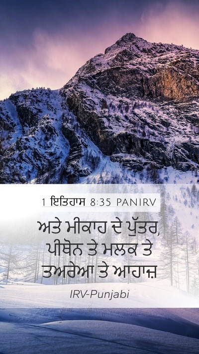 1 ਇਤਿਹਾਸ 8:35 PANIRV Mobile Phone Wallpaper - ਅਤੇ ਮੀਕਾਹ ਦੇ ਪੁੱਤਰ, - Mobile Bible Verse Wallpaper