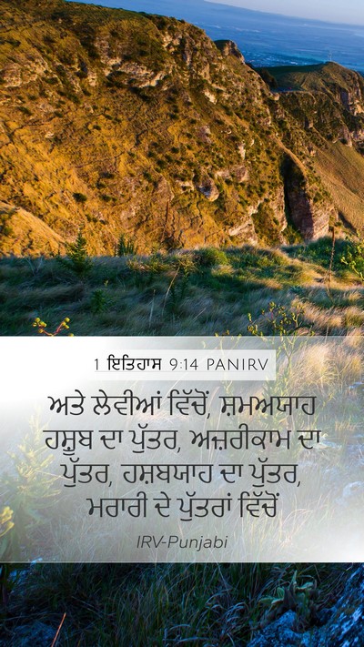 1 ਇਤਿਹਾਸ 9:14 PANIRV Bible Verse Image