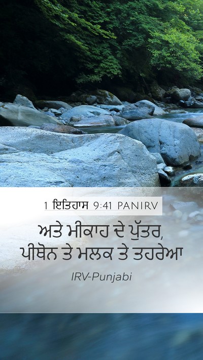 1 ਇਤਿਹਾਸ 9:41 PANIRV Bible Verse Image