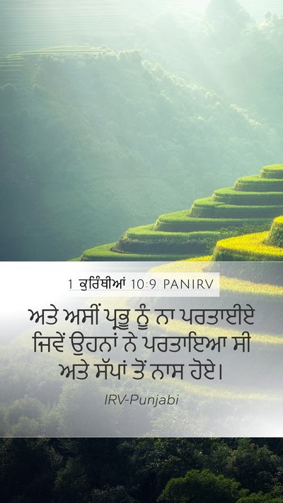 1 ਕੁਰਿੰਥੀਆਂ 10:9 PANIRV Bible Verse Image