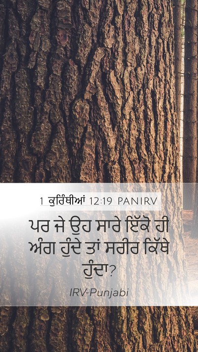1 ਕੁਰਿੰਥੀਆਂ 12:19 PANIRV Bible Verse Image