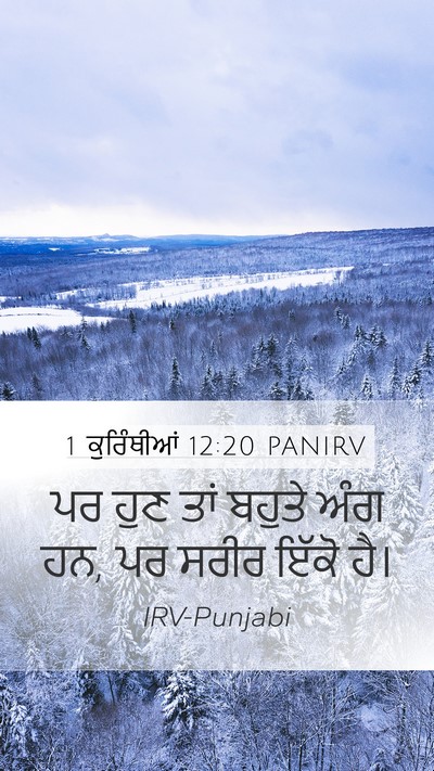 1 ਕੁਰਿੰਥੀਆਂ 12:20 PANIRV Bible Verse Image