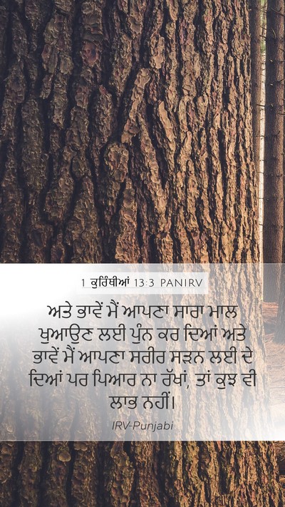 1 ਕੁਰਿੰਥੀਆਂ 13:3 PANIRV Bible Verse Image
