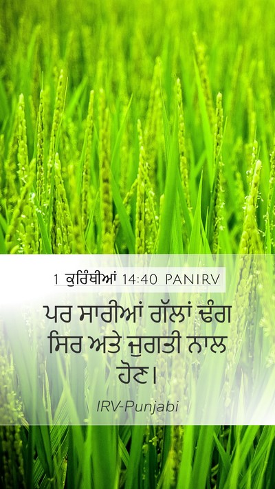 1 ਕੁਰਿੰਥੀਆਂ 14:40 PANIRV Bible Verse Image