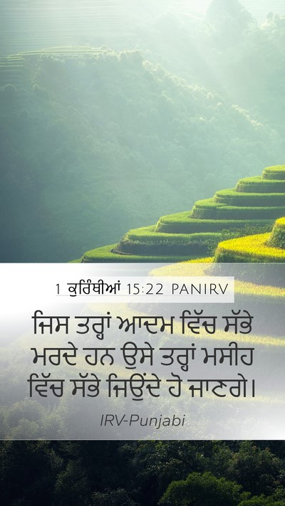1 ਕੁਰਿੰਥੀਆਂ 15:22 PANIRV Bible Verse Image