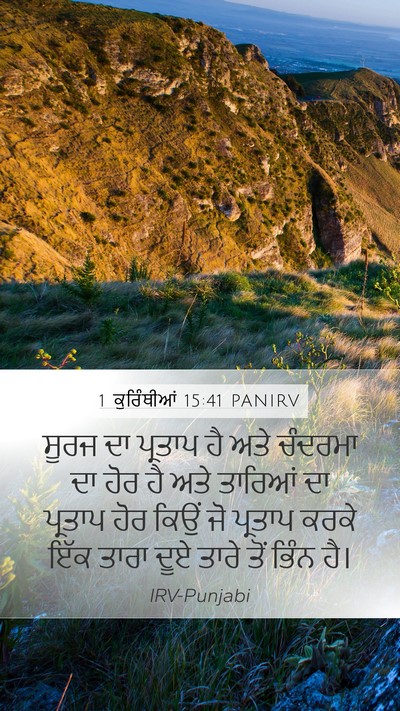 1 ਕੁਰਿੰਥੀਆਂ 15:41 PANIRV Bible Verse Image