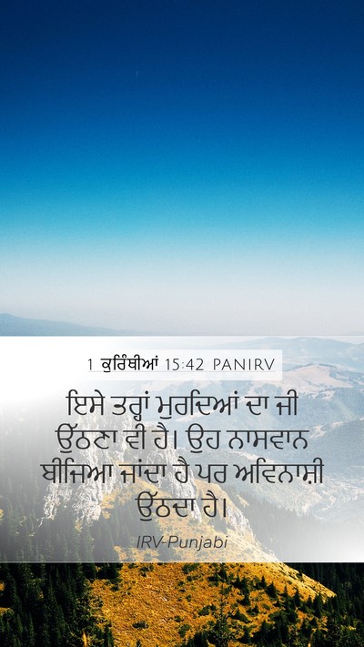 1 ਕੁਰਿੰਥੀਆਂ 15:42 PANIRV Bible Verse Image