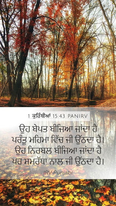 1 ਕੁਰਿੰਥੀਆਂ 15:43 PANIRV Bible Verse Image