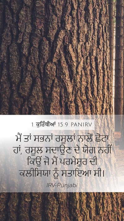1 ਕੁਰਿੰਥੀਆਂ 15:9 PANIRV Bible Verse Image