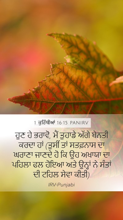 1 ਕੁਰਿੰਥੀਆਂ 16:15 PANIRV Bible Verse Image